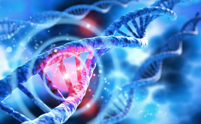 기사와 직접적 연관 없음. 사진=게티이미지뱅크