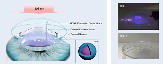 상향변환 나노입자가 담지된 콘택트렌즈 모식도. 근적외선 빛 조사 시 자외선 및 청색광을 발광하는 콘택트렌즈 사진