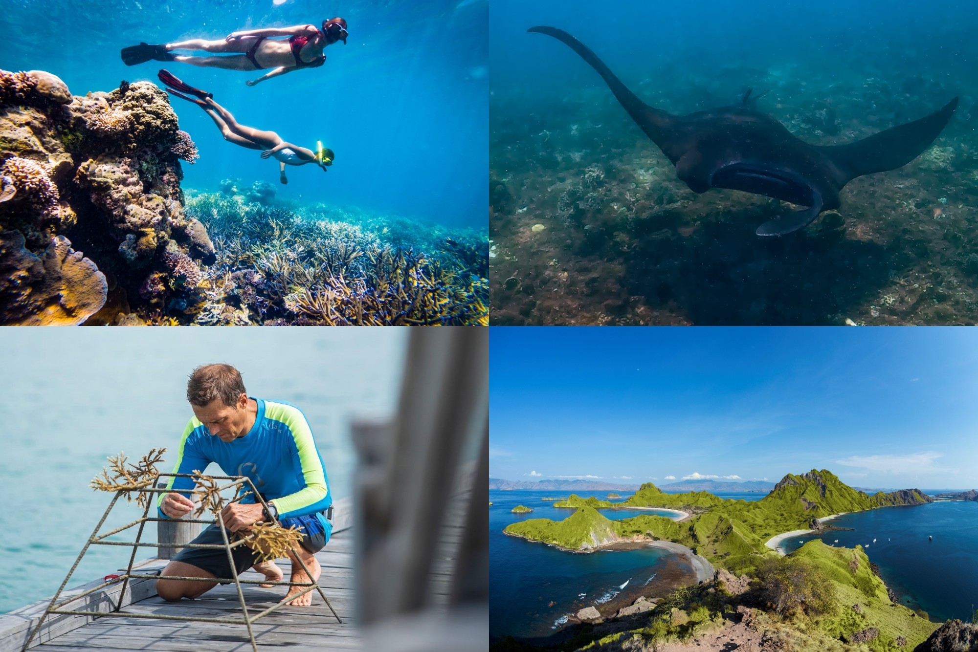 사진= 인도네시아 아야나 코모도