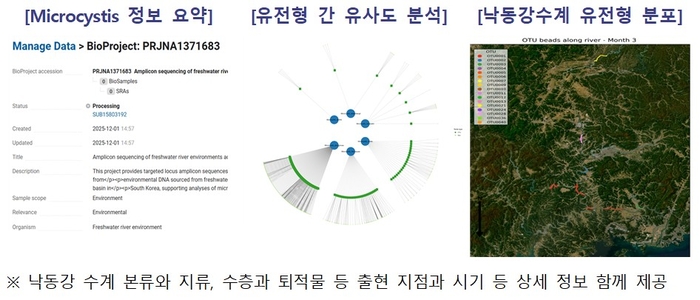 녹조 유전형 정보집은 유해남조류 유전형 정보 검색형 자료를 제공한다. [자료:국립환경과학원]