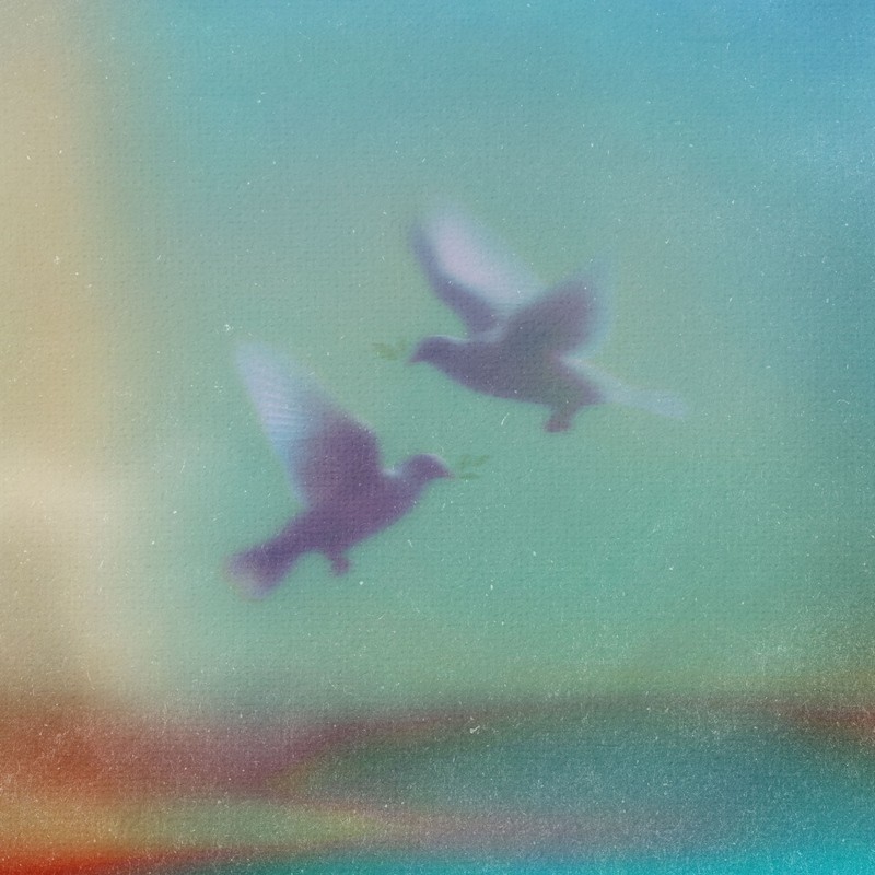 사진=엠피엠지뮤직