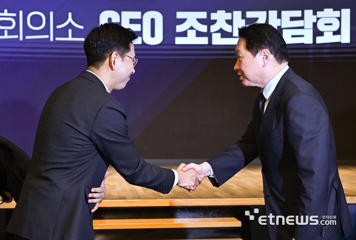 [포토] 악수하는 배경훈-최태원