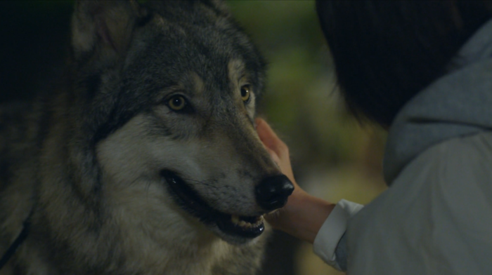 스튜디오벨루카, KBS후반제작기술국과 협업으로 AI-VFX 융합 기술력 선봬