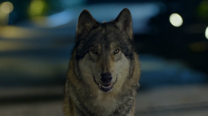 스튜디오벨루카, KBS후반제작기술국과 협업으로 AI-VFX 융합 기술력 선봬