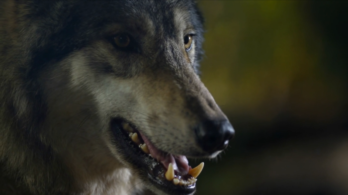 스튜디오벨루카, KBS후반제작기술국과 협업으로 AI-VFX 융합 기술력 선봬