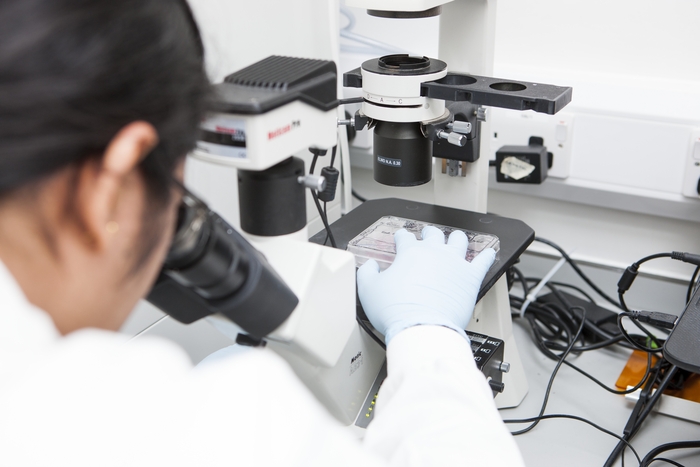 (사진=클립아트코리아)