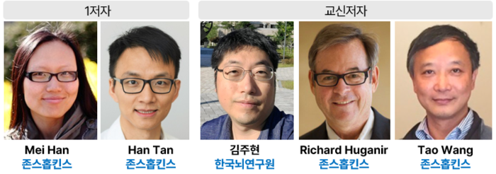 한국뇌연구원 및 존스홉킨스의대 공동연구팀