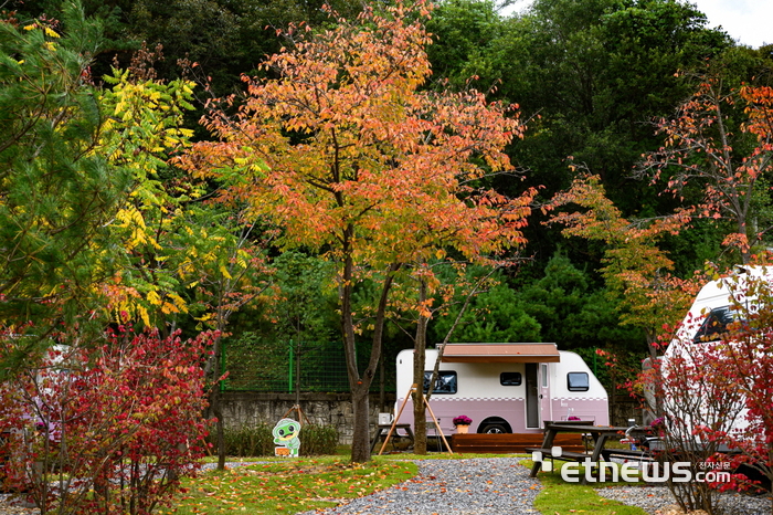 경북 봉화군 청량산에 위치한 '청량산 수원캠핑장' 모습.