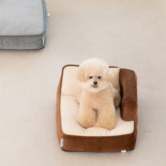 반려동물 리빙 브랜드 WINTER-I, '마이펫페어 일산' 참가…인기제품에 할인 혜택까지 선봬