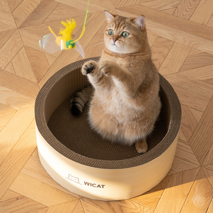 반려동물 리빙 브랜드 WINTER-I, '마이펫페어 일산' 참가…인기제품에 할인 혜택까지 선봬