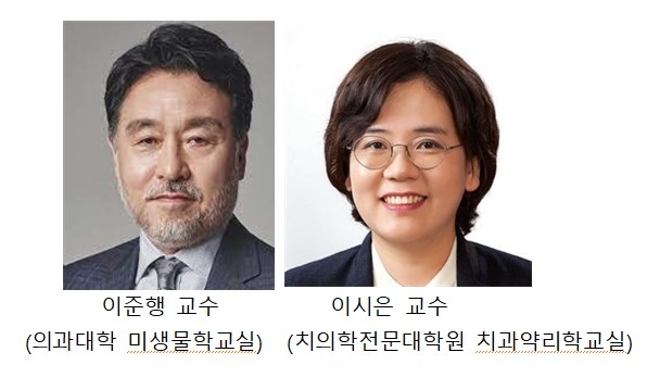전남대 연구진.