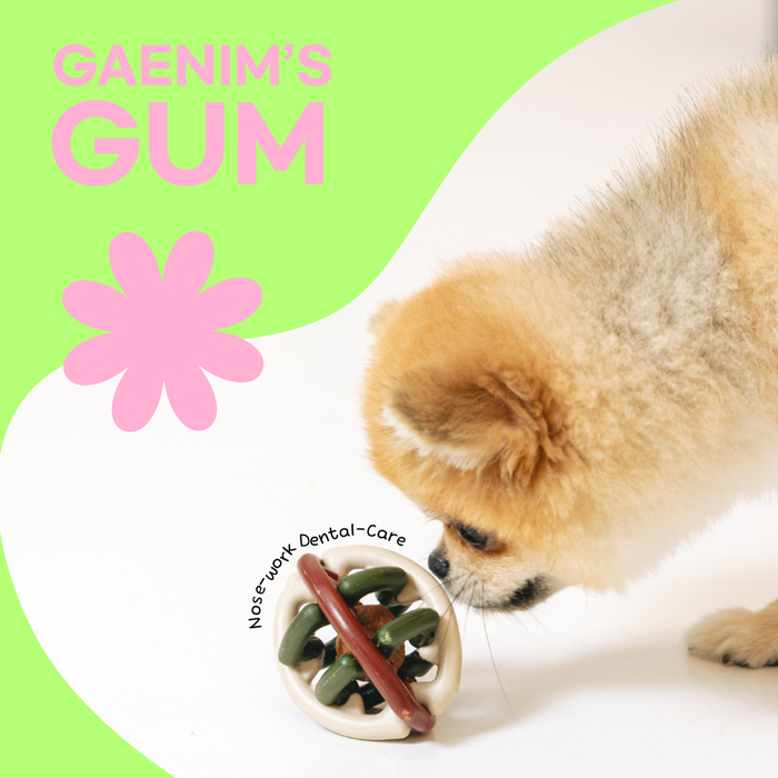 노즈워크 기능성 특허 개님의껌