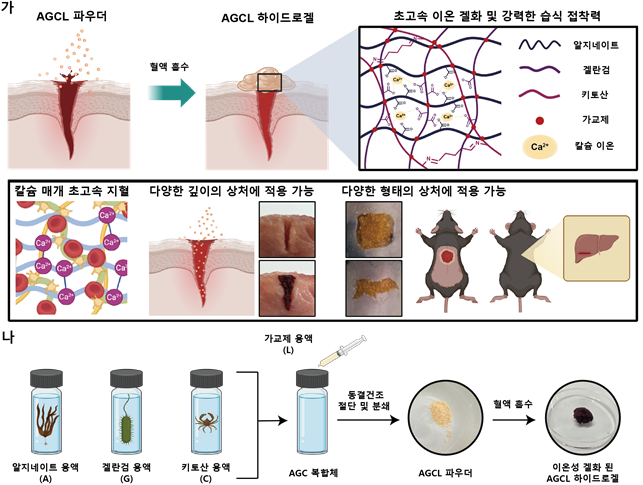 AGCL 파우더 개발 전략과 제작 개략도