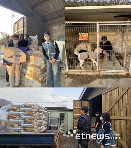 루다큐어, 유기묘 보호시설에 겨울 사료 1톤 기부 - 뉴스 썸네일 이미지