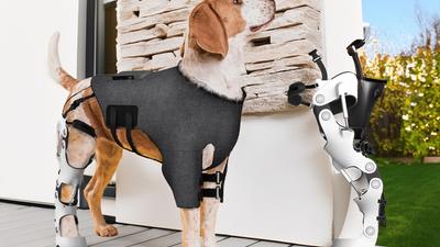 주요행사 이미지