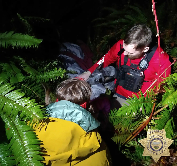 미국에서 주인을 구한 반려견 '카미'. 사진=레인 카운티 보안관 사무소