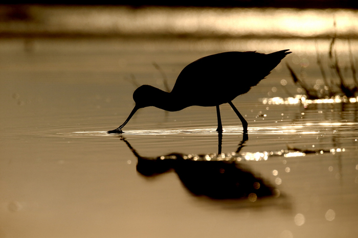 기사와 직접적 연관 없음. 사진=게티이미지뱅크