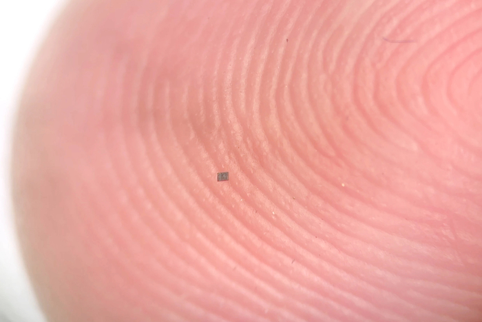 지문 융선 위에 놓인 마이크로로봇 / Marc Miskin, University of Pennsylvania