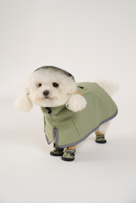 신규 브랜드 이그니테일(Ignitail), '폐방화복 업사이클링 반려용품' 론칭