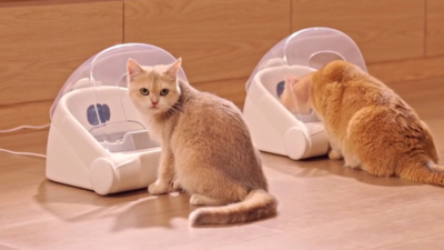 주요행사 이미지