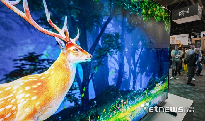 [포토] 하이센스 RGB 미니LED TV 색 표현력은