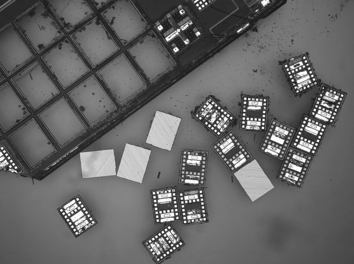 이 작은 기계들은 개별적으로 또는 그룹 단위로 프로그래밍되어 실험을 수행할 수 있다 / Maya Lassiter, University of Pennsylvania