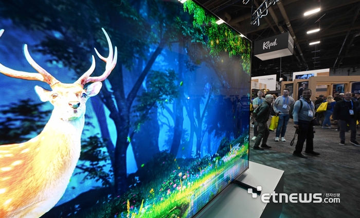 [포토] 하이센스 RGB 미니LED TV 색 표현력은