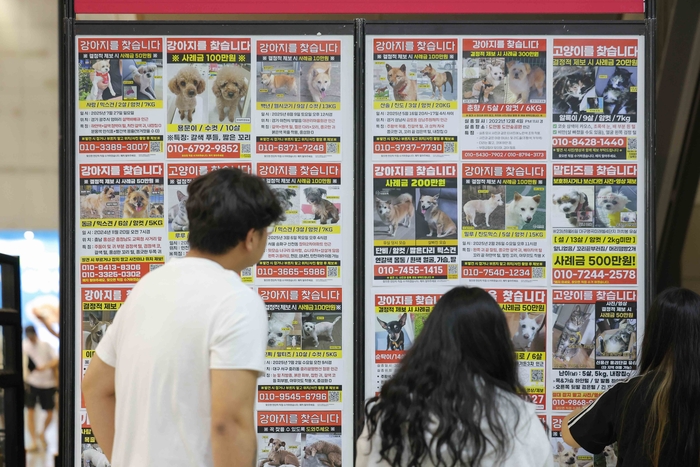 놓칠 수 없는 새해 첫 펫페어! '마이펫페어 일산 Part 1' 1월 16일 킨텍스 개최