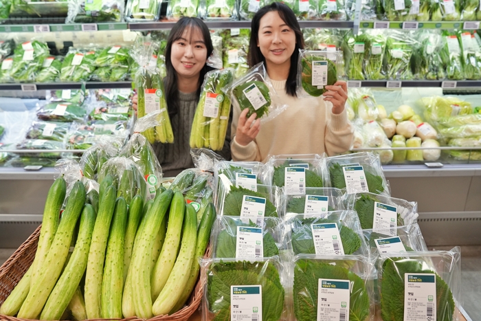 롯데마트, 스마트팜 깻잎·오이 특가 판매