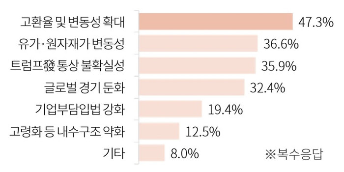 기업들이 꼽은 올해 한국경제 하방 요인 (자료=대한상공회의소)