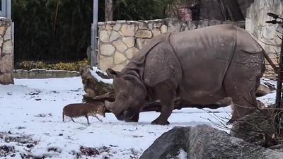 주요행사 이미지