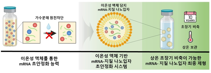 mRNA 보관 전략 및 최종 제형(상온 초장기 비축이 가능한 이온성 액체 기반의 mRNA 초안정화 기술 적용) 관련 이미지