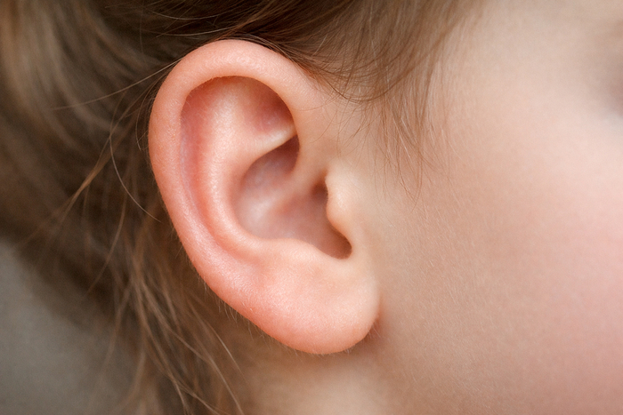 (AI로 이미지 생성)