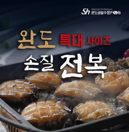 홈앤쇼핑, 완도 특대 손질전복 방송 판매…방송 중 2미 추가 증정