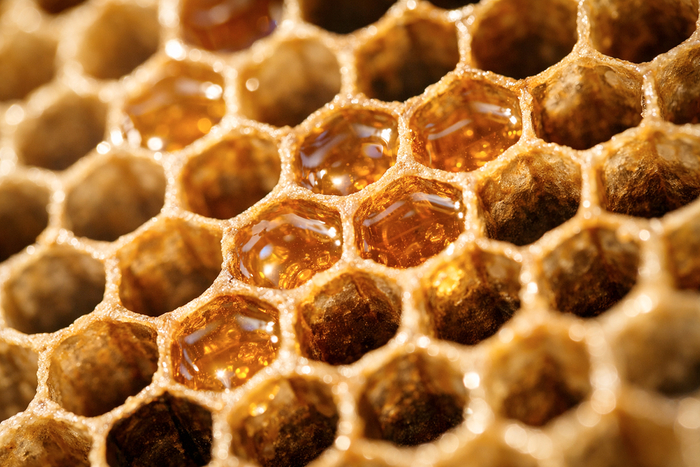 (AI로 이미지 생성)