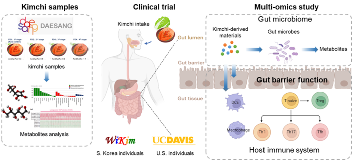 한·미 국제공동연구 모식도.