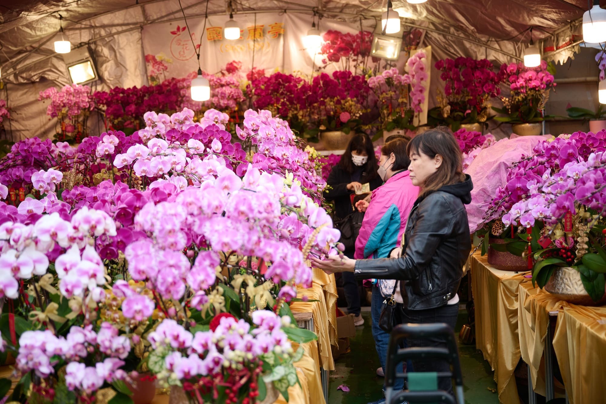 사진= 홍콩 설 맞이 꽃 시장