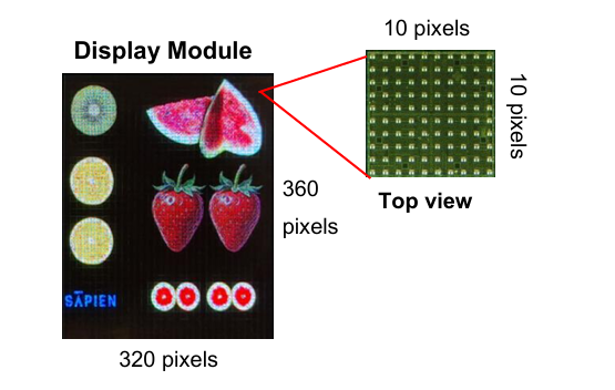 사피엔반도체의 타일형 마이크로 LED 패키징 기술을 적용한 디스플레이 모듈 시제품 구조. 〈사진 사피엔반도체 제공〉