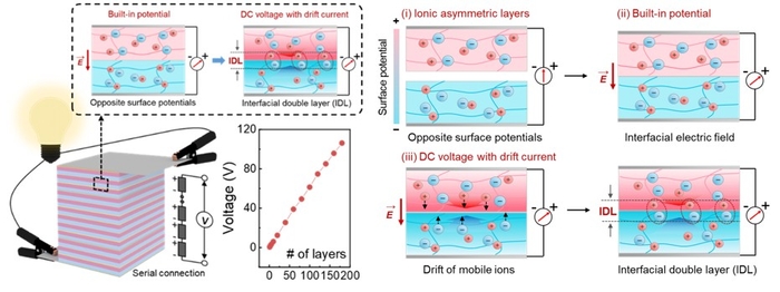 전기가오리 전기 세포를 모방한 단위 전기셀과 적층형 이온 전기셀 구조