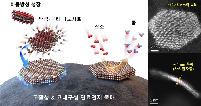 초박막 나노시트 합성 모식도와 제작 촉매 투과전자현미경 이미지