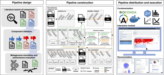 메타펀의 개발 모식도