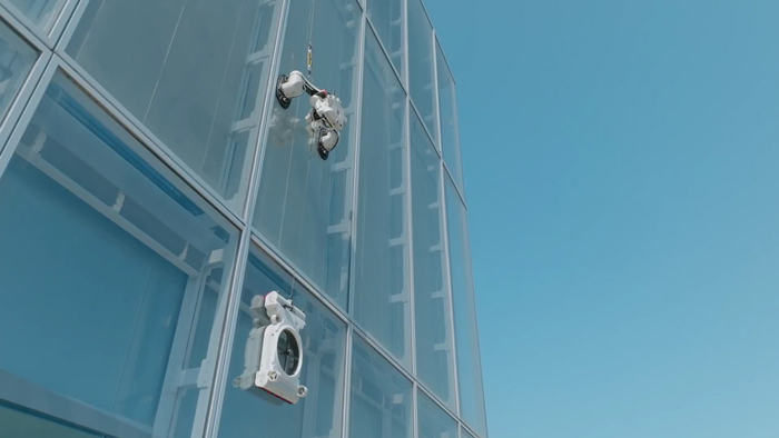 출처=엑스(bobrasX)