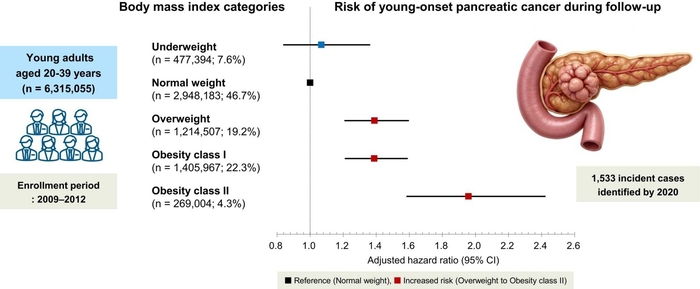 연구결과 그래픽표.