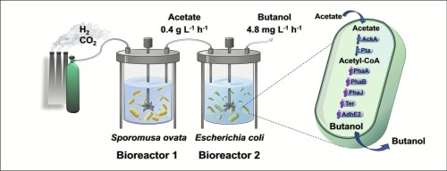 Photo Image
