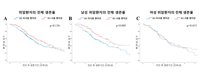 면역관문억제제 치료군(파란색)과 비치료군(빨간색)의 남녀 생존율 차이표.