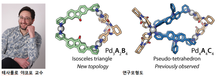 전남대 연구진 단순 나노 구성 요소로 복잡한 비대칭 구조 구현.