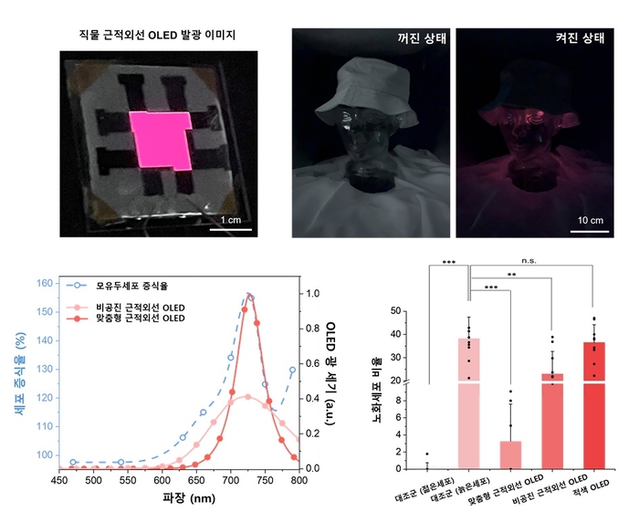 직물 기반 근적외선 OLED의 프로토타입 및 광치료 효능 / KAIST