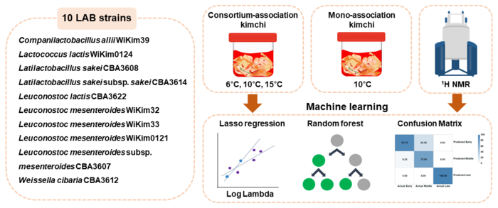 AI 기반 발효 단계 분류 분석 체계.