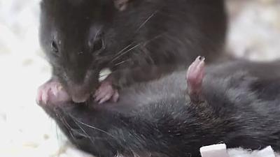 주요행사 이미지