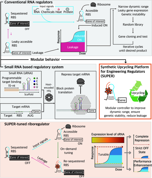 SUPER 플랫폼의 작동 원리 모식도